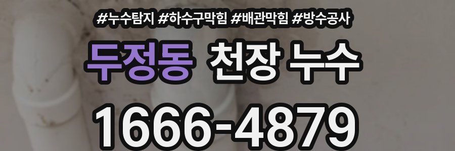 두정동 천장 누수