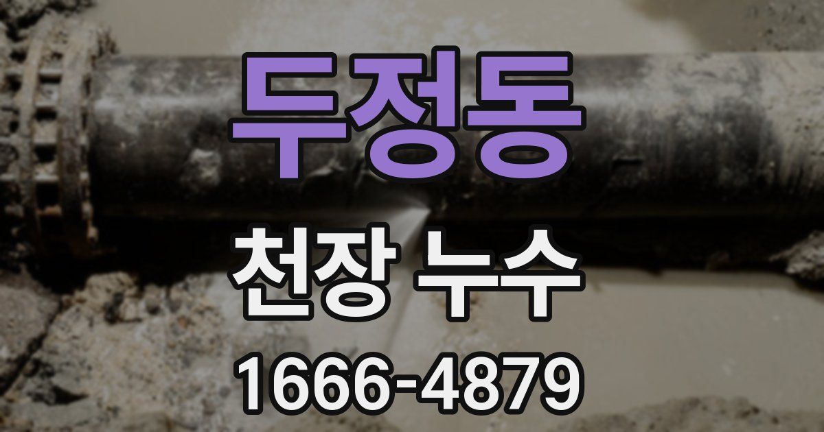 두정동 천장 누수