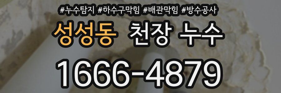성성동 천장 누수