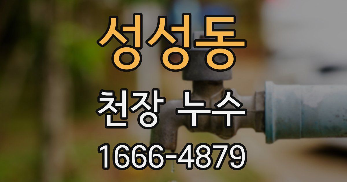 성성동 천장 누수