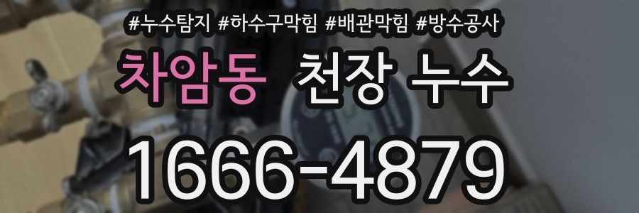 차암동 천장 누수