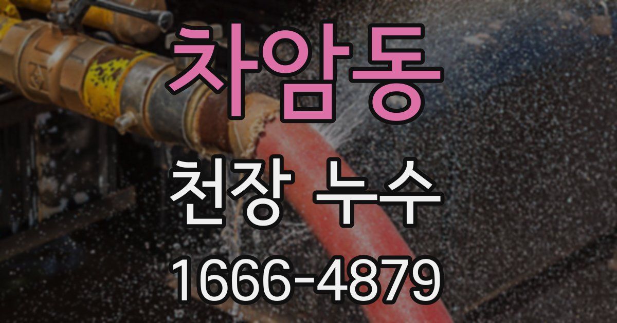 차암동 천장 누수