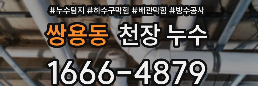 쌍용동 천장 누수