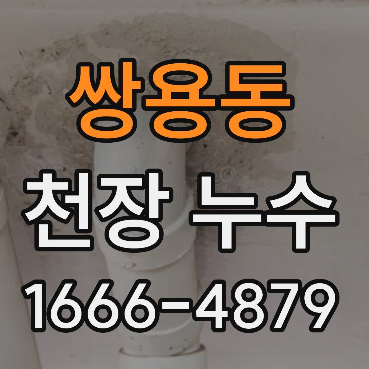 쌍용동 천장 누수