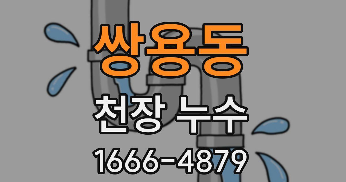 쌍용동 천장 누수