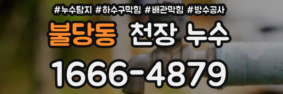 불당동 천장 누수