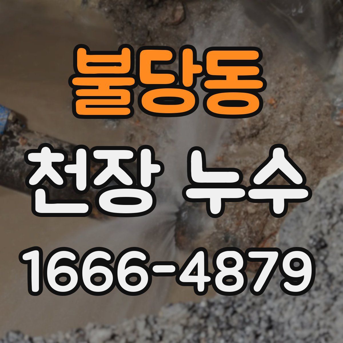 불당동 천장 누수