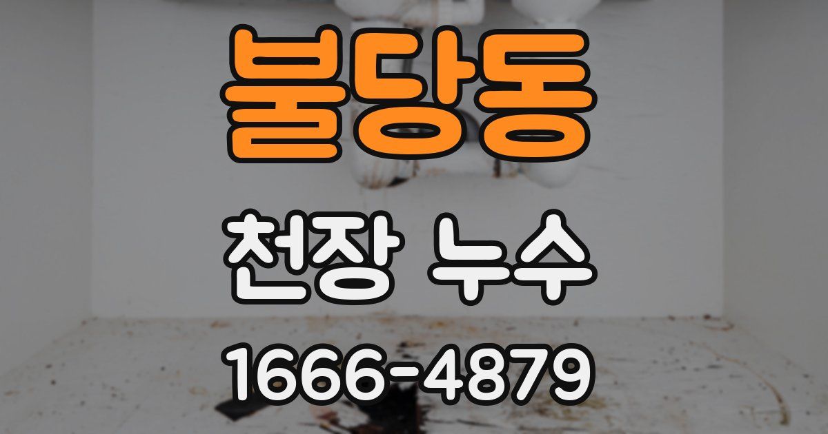 불당동 천장 누수