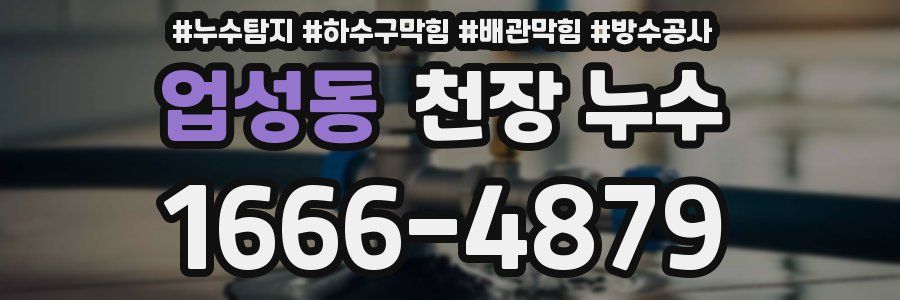 업성동 천장 누수