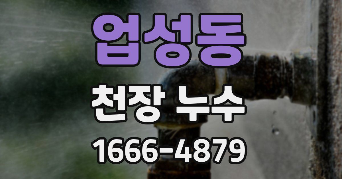 업성동 천장 누수