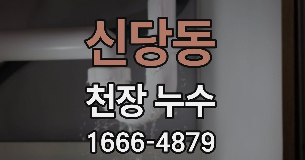 신당동 천장 누수