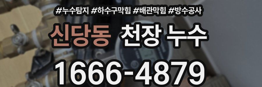 신당동 천장 누수