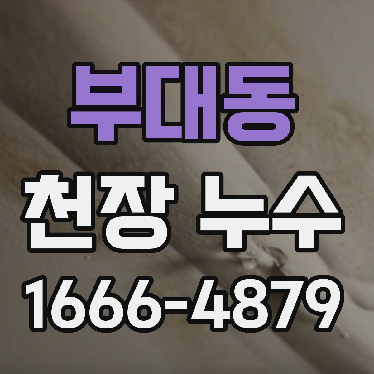 부대동 천장 누수