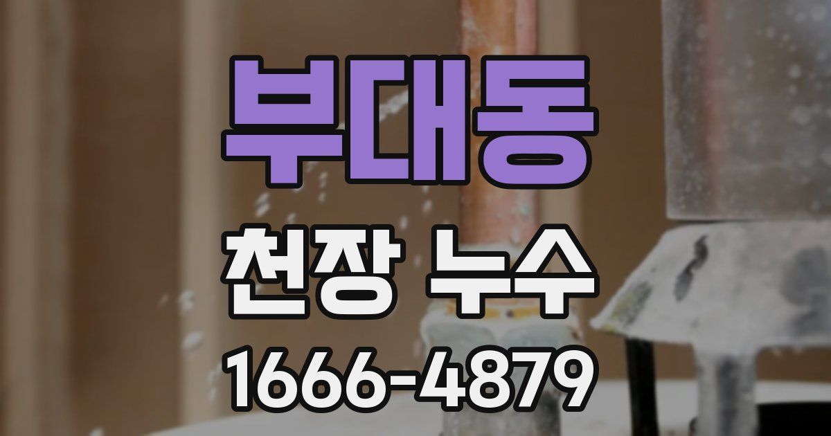 부대동 천장 누수