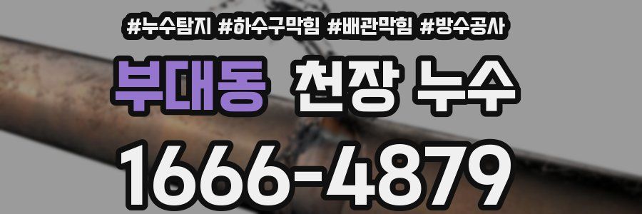 부대동 천장 누수