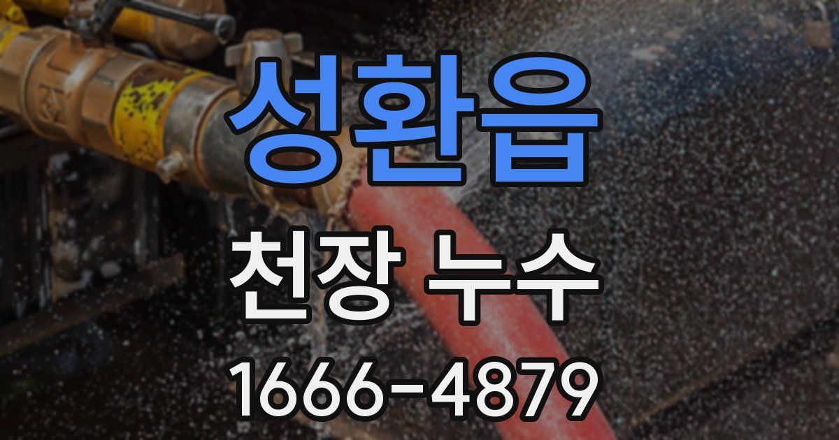 성환읍 천장 누수