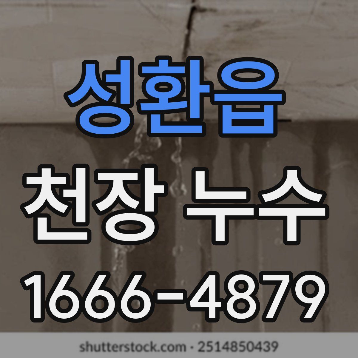 성환읍 천장 누수