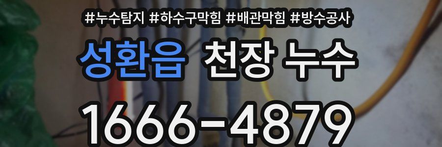 성환읍 천장 누수
