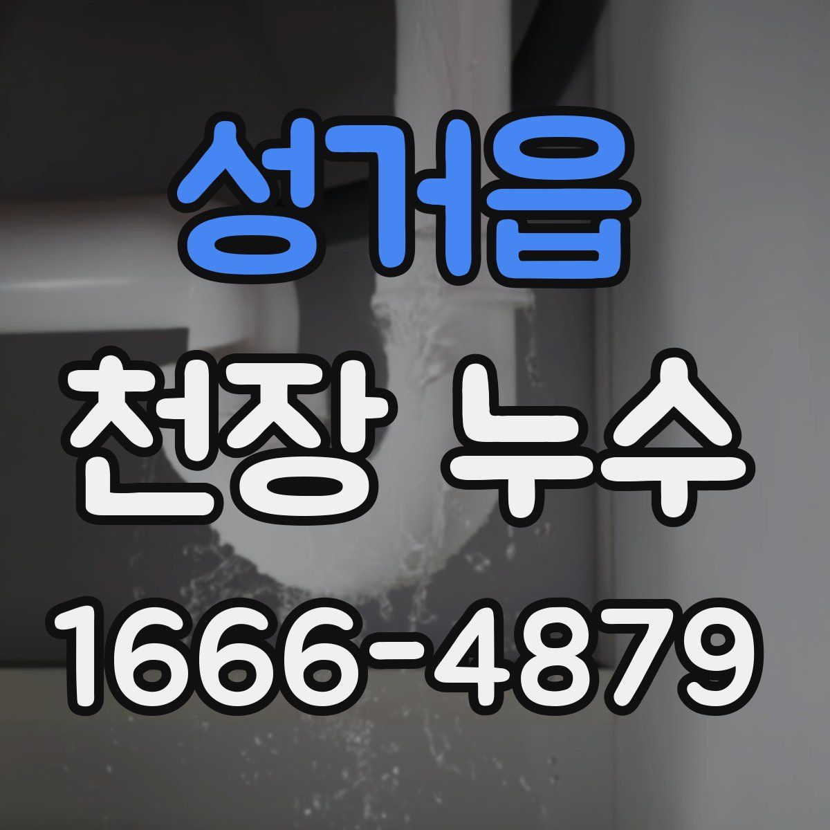 성거읍 천장 누수