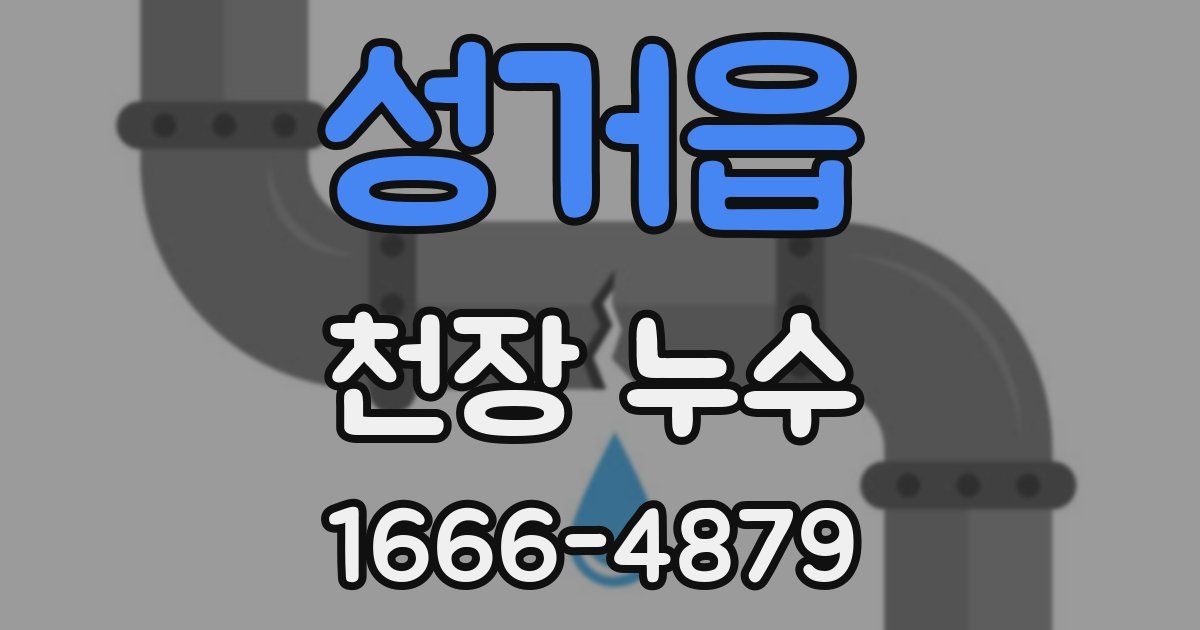 성거읍 천장 누수