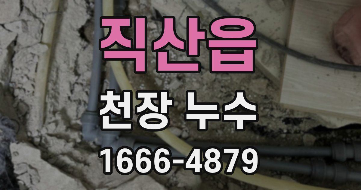 직산읍 천장 누수