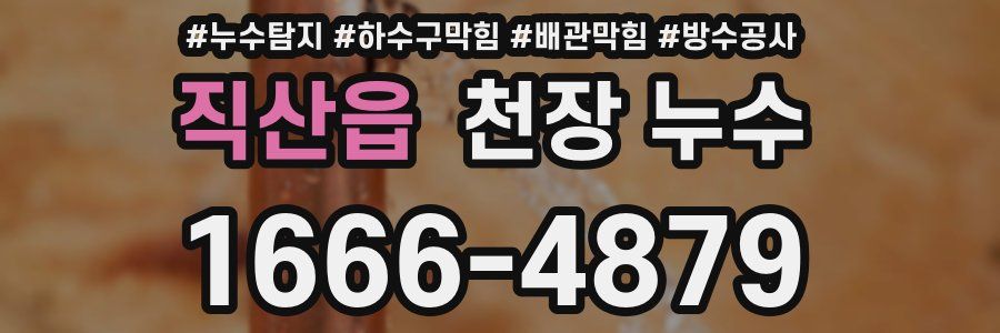 직산읍 천장 누수