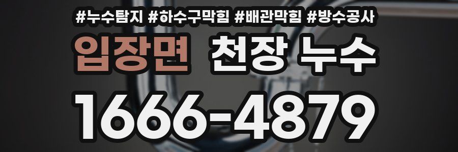 입장면 천장 누수