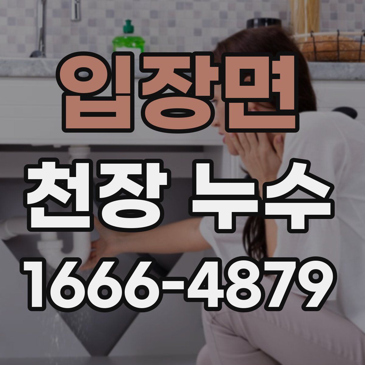 입장면 천장 누수