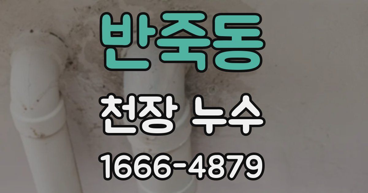 반죽동 천장 누수