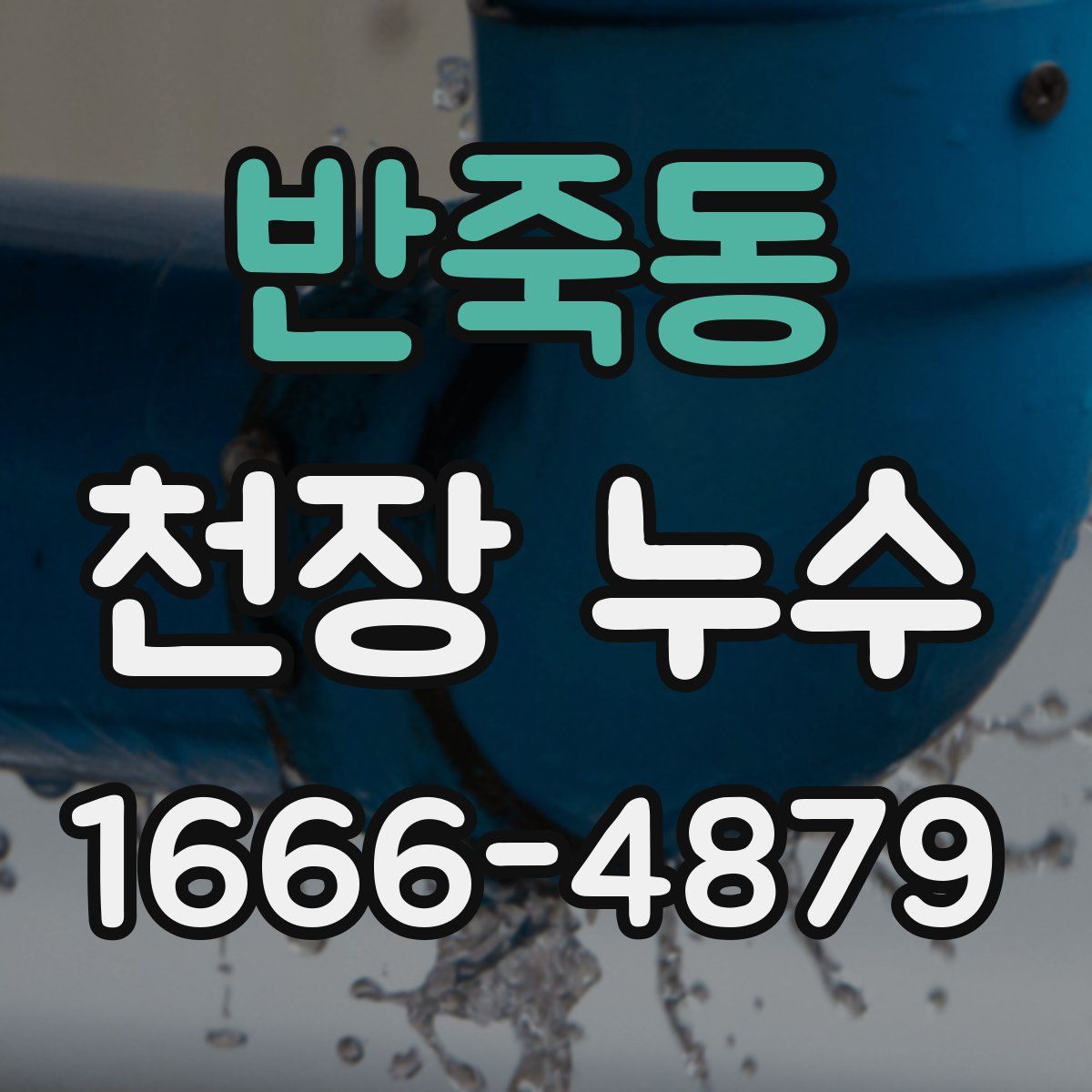 반죽동 천장 누수