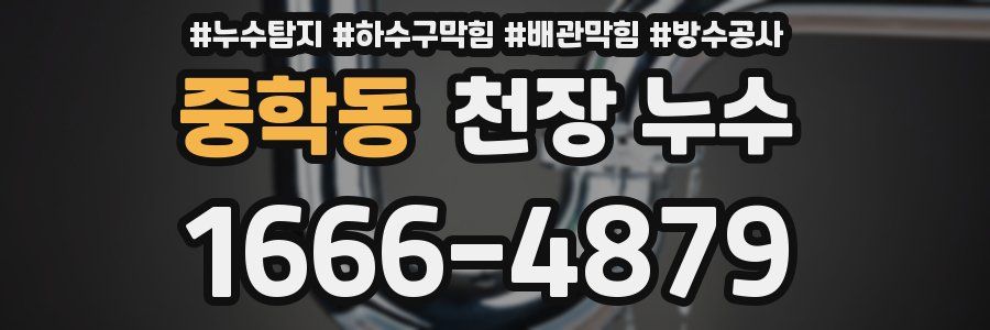 중학동 천장 누수