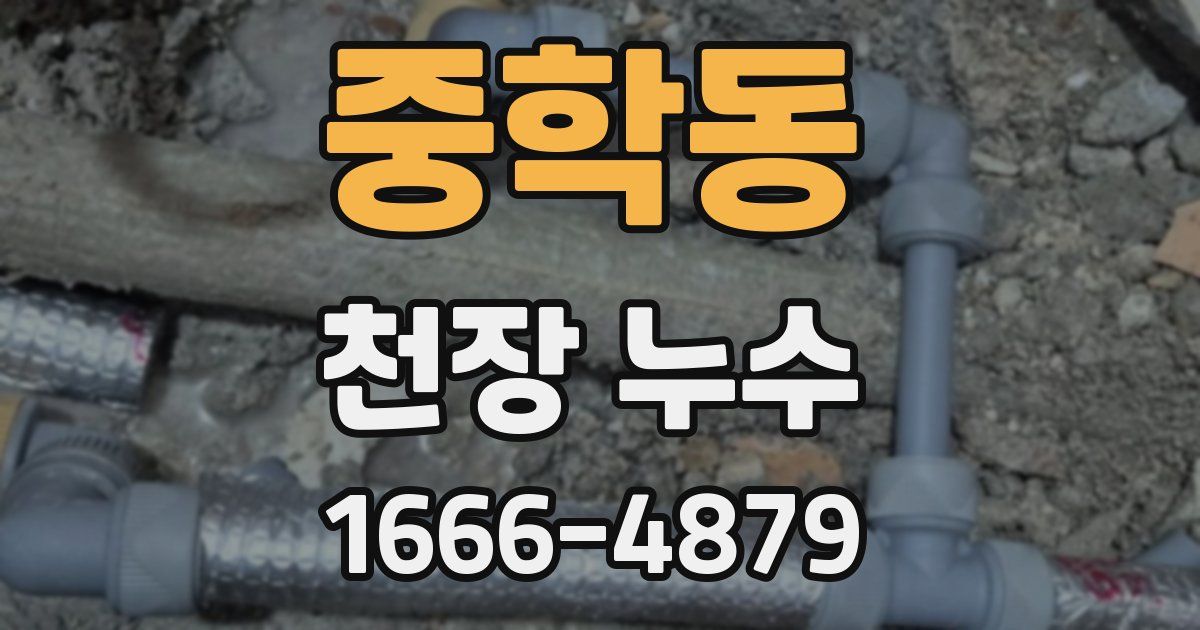 중학동 천장 누수
