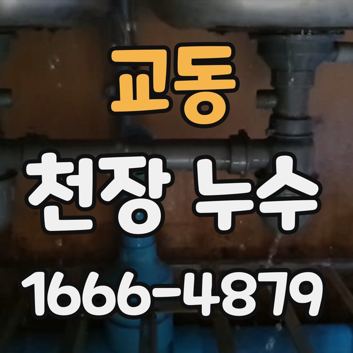 교동 천장 누수