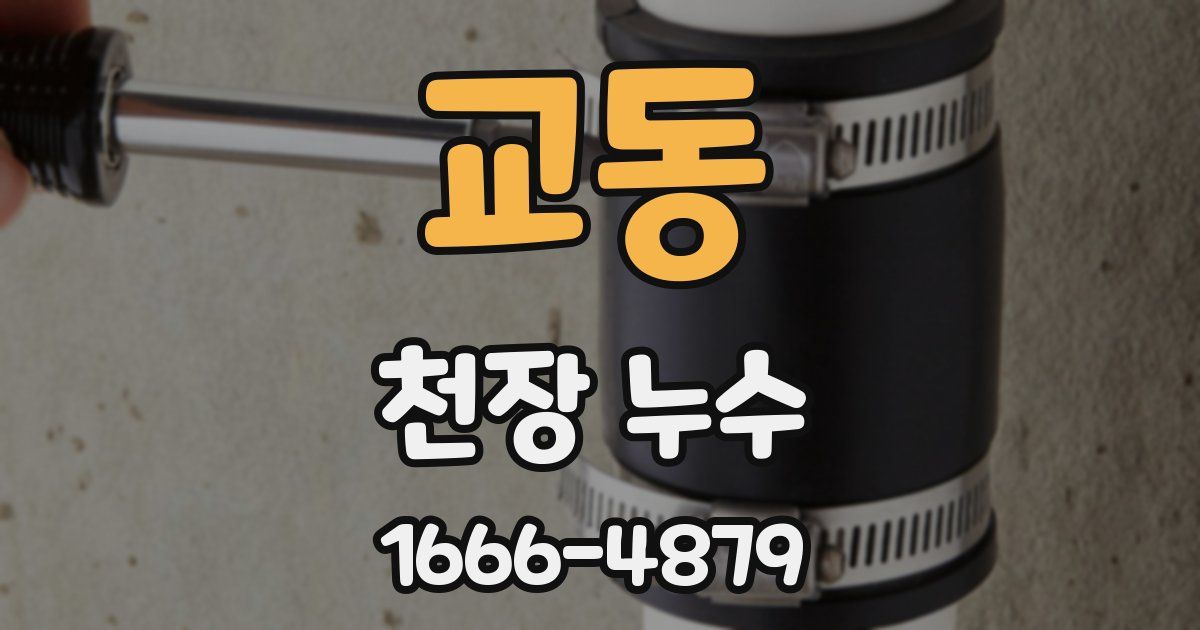 교동 천장 누수