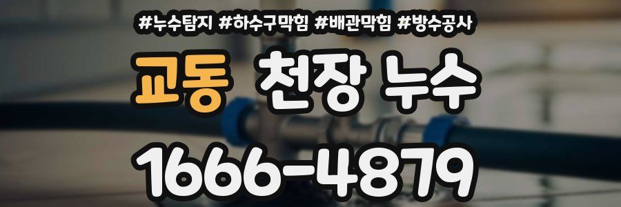 교동 천장 누수
