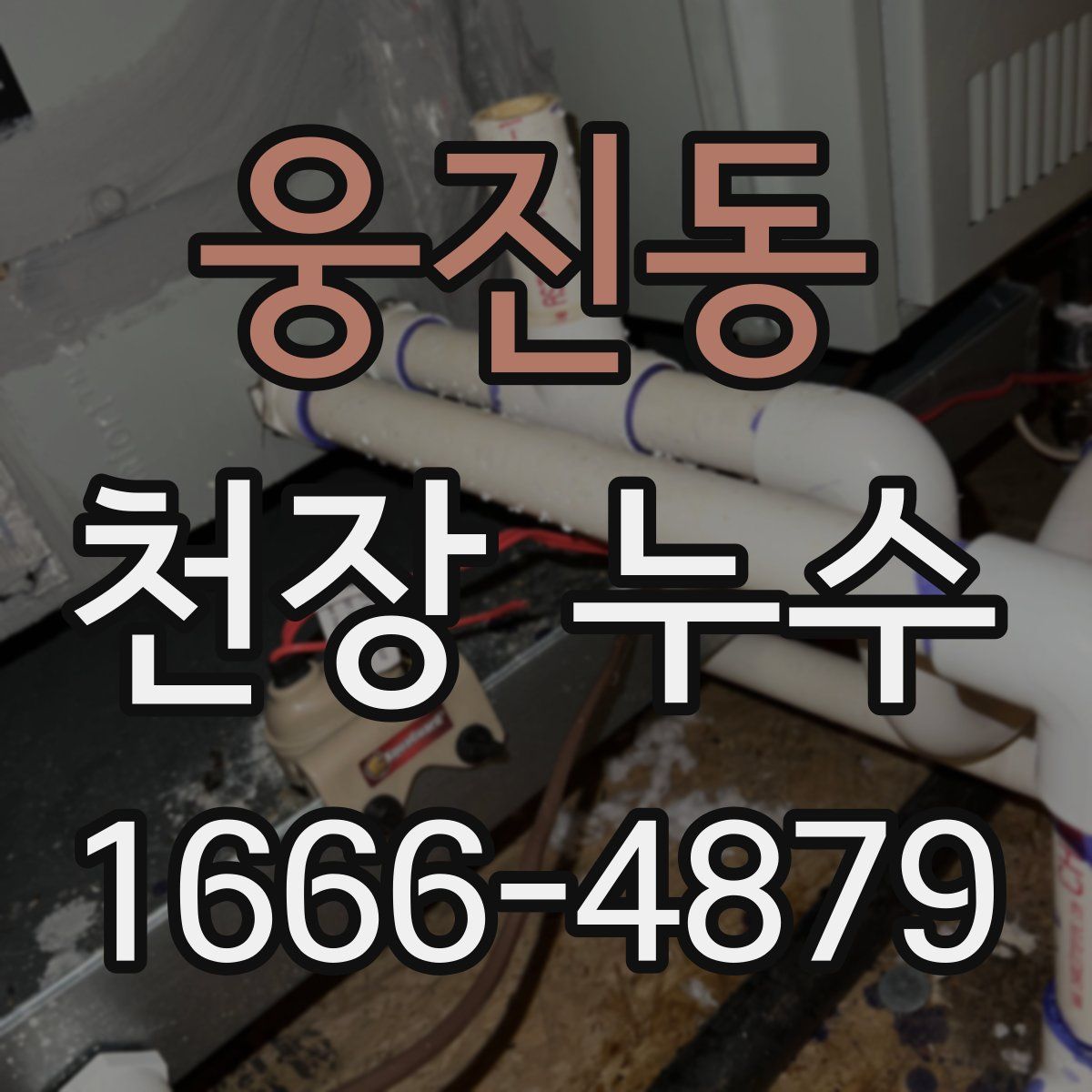 웅진동 천장 누수