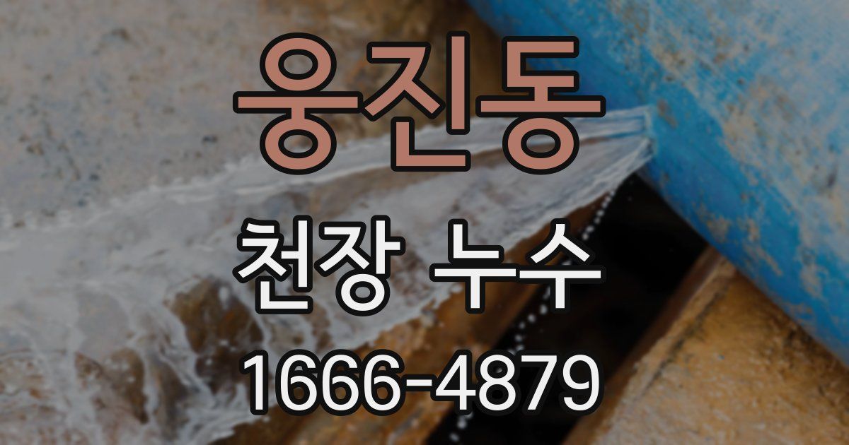 웅진동 천장 누수