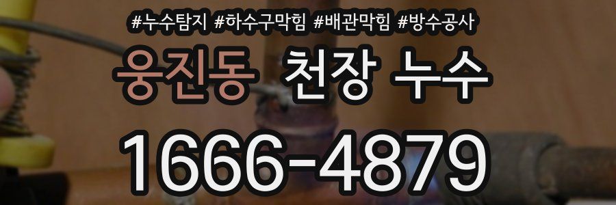 웅진동 천장 누수