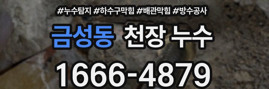 금성동 천장 누수