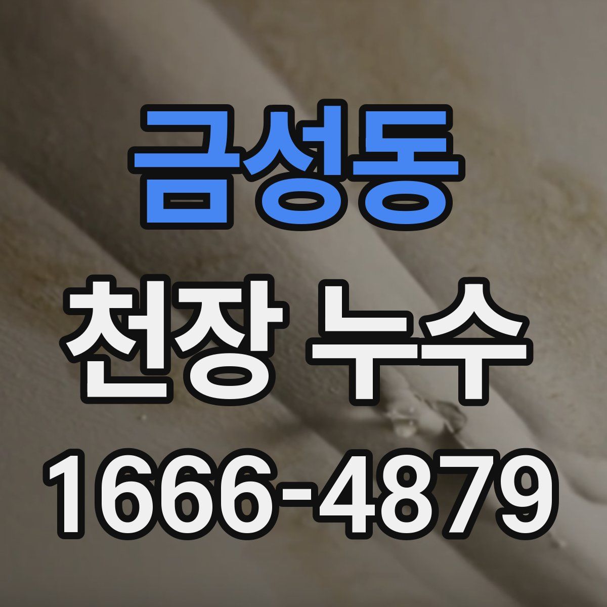 금성동 천장 누수