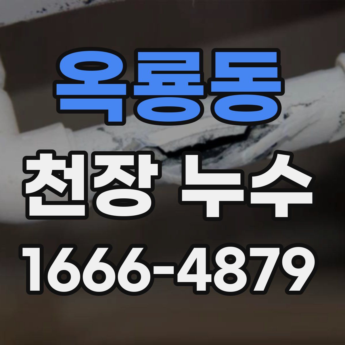 옥룡동 천장 누수