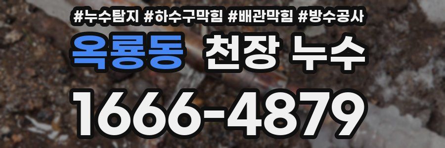 옥룡동 천장 누수