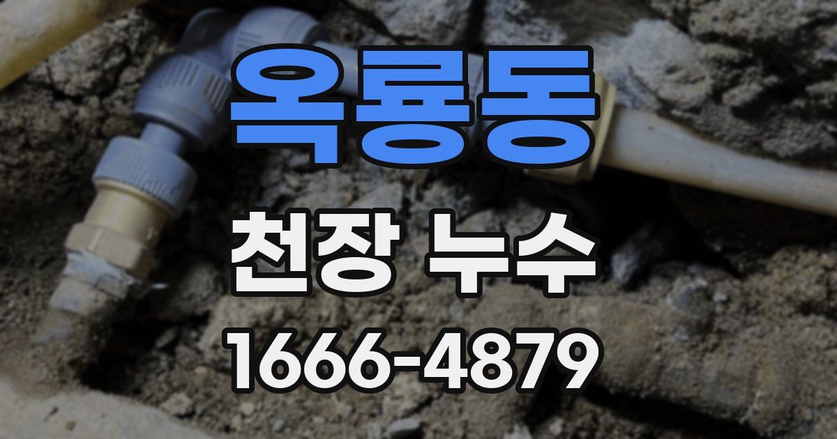 옥룡동 천장 누수