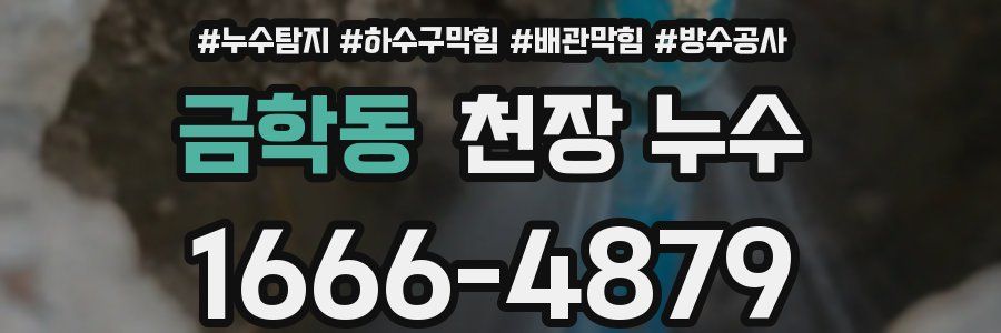 금학동 천장 누수