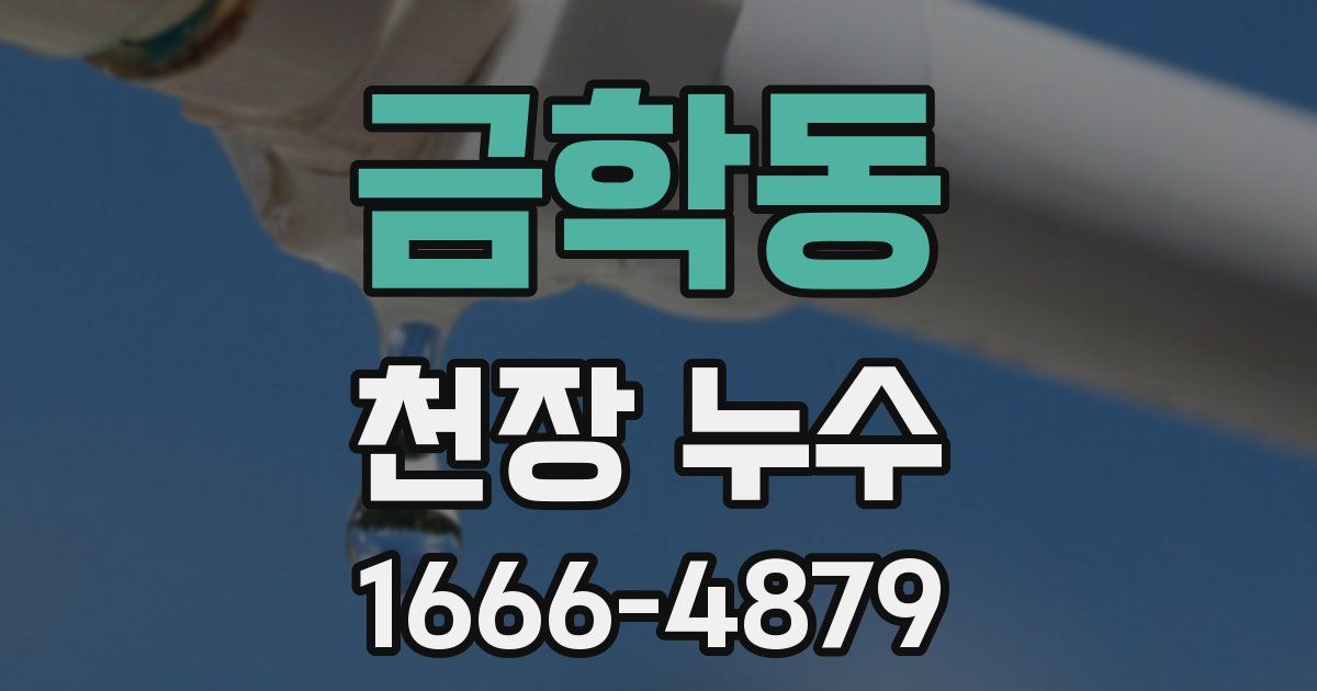 금학동 천장 누수