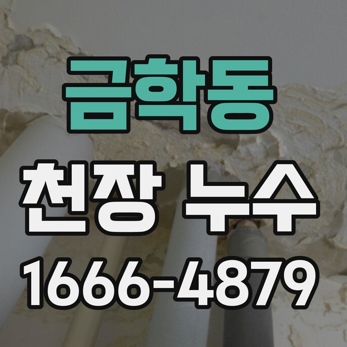 금학동 천장 누수