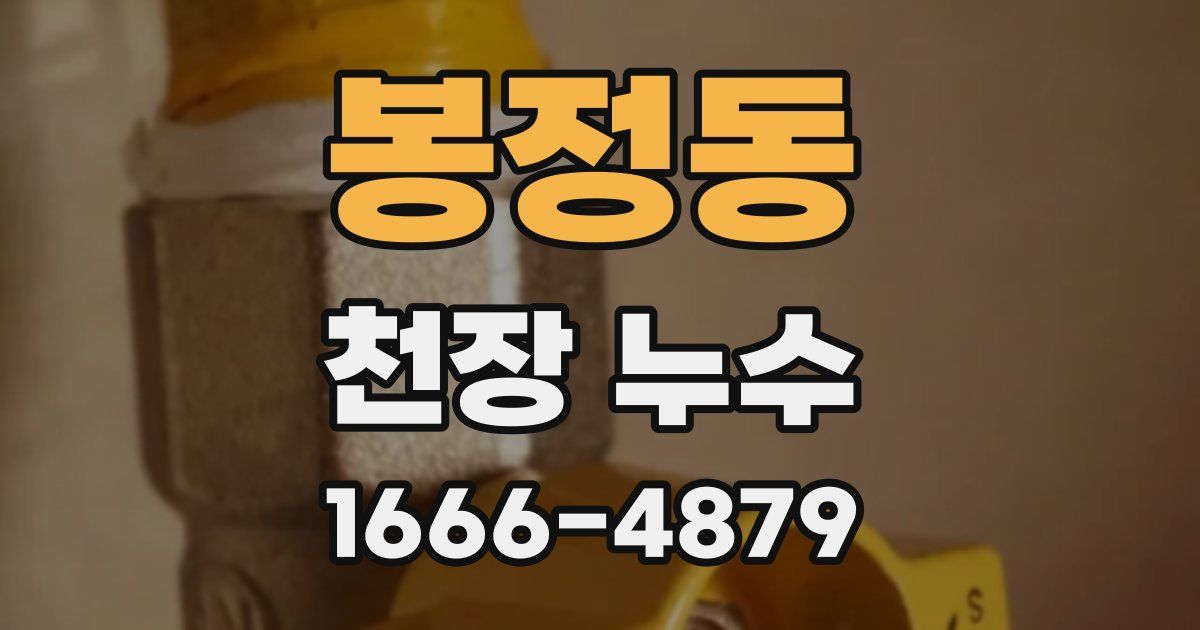 봉정동 천장 누수
