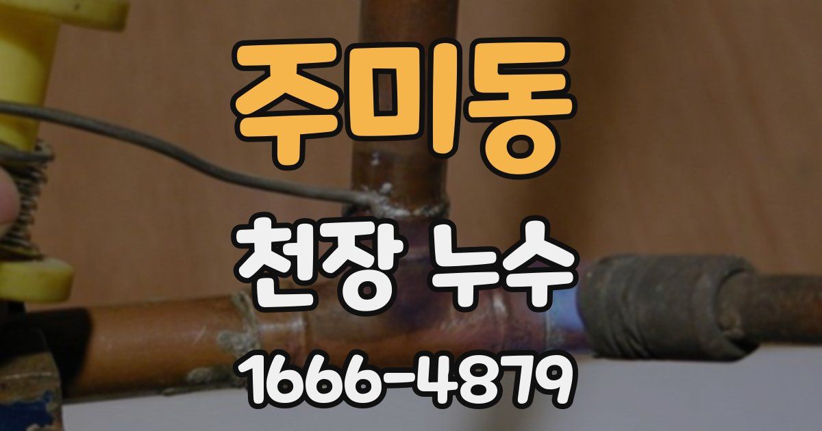 주미동 천장 누수