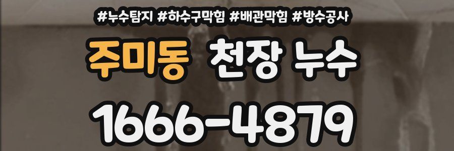 주미동 천장 누수