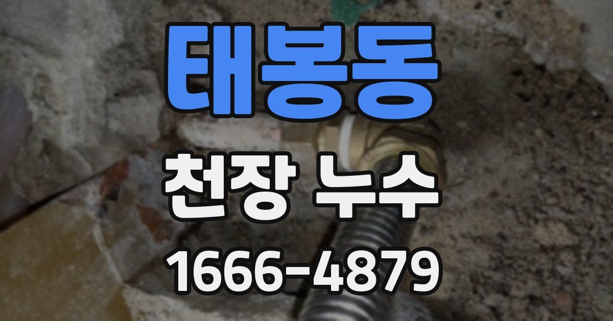 태봉동 천장 누수